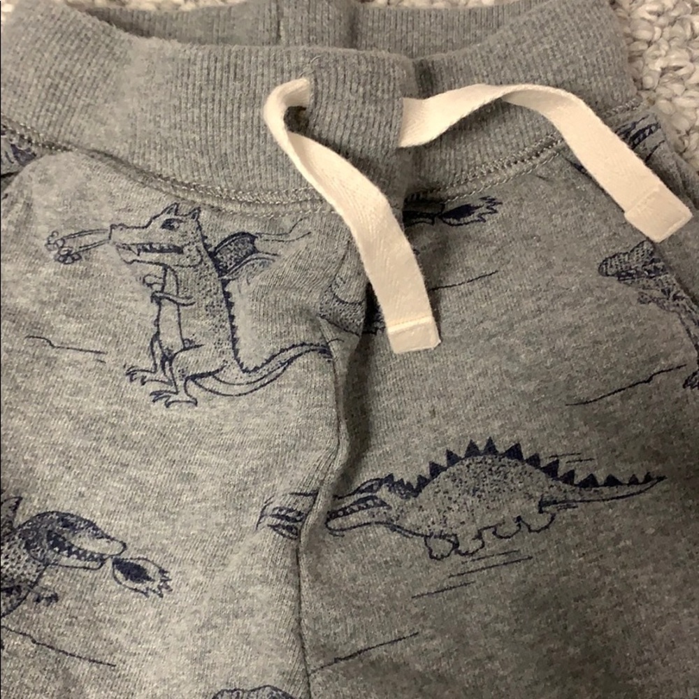 Boys dinosaur sweat pants